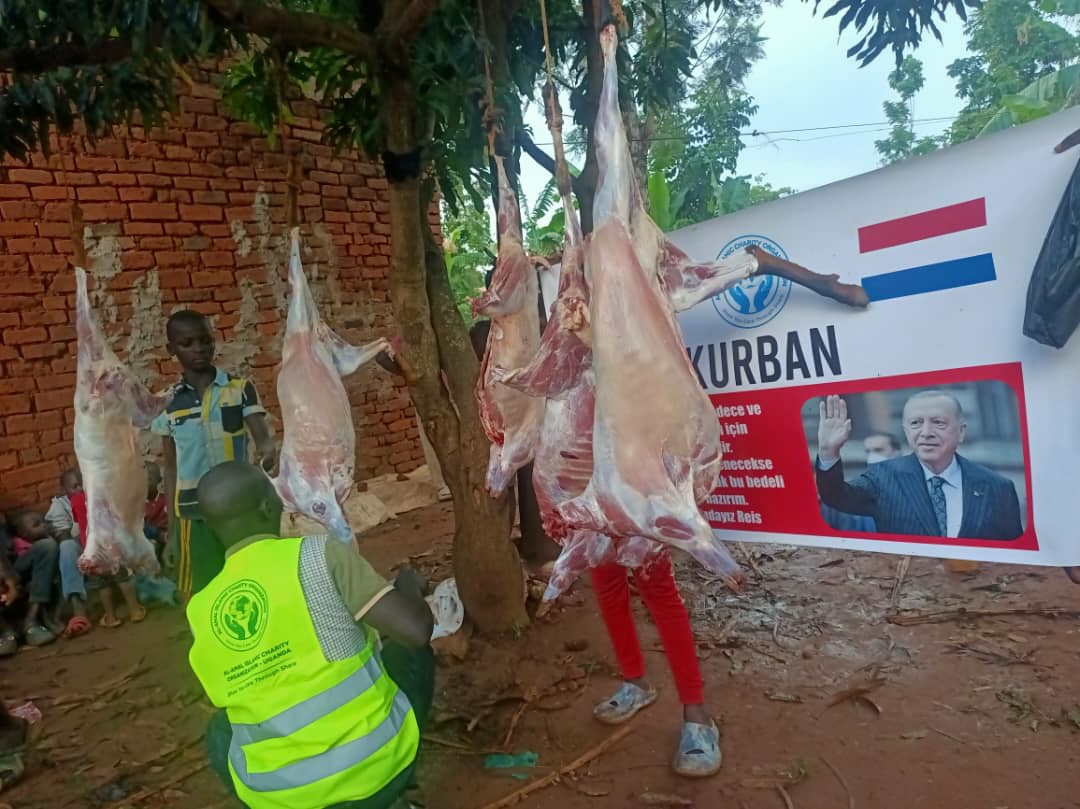 Qurbani Distribution